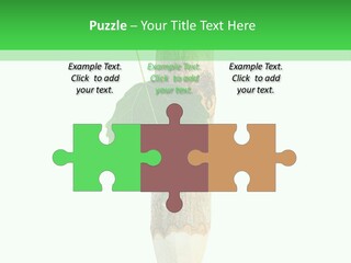 Leaves Drawing Green PowerPoint Template