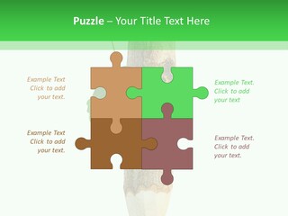 Leaves Drawing Green PowerPoint Template