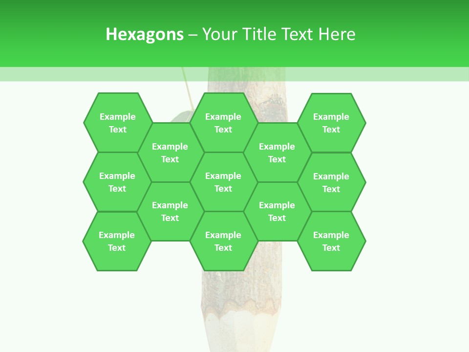 Leaves Drawing Green PowerPoint Template
