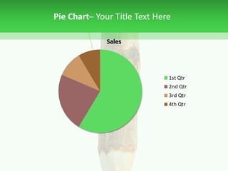 Leaves Drawing Green PowerPoint Template