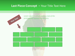 Leaves Drawing Green PowerPoint Template