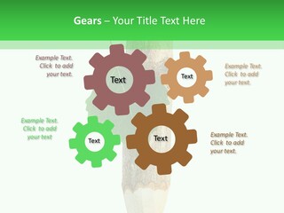 Leaves Drawing Green PowerPoint Template