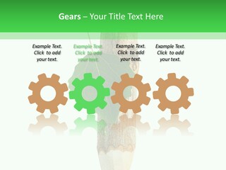 Leaves Drawing Green PowerPoint Template
