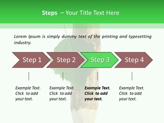 Leaves Drawing Green PowerPoint Template