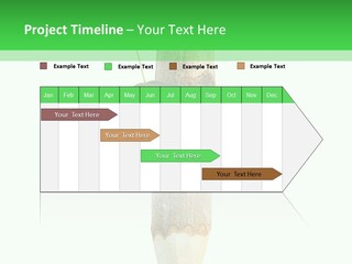 Leaves Drawing Green PowerPoint Template