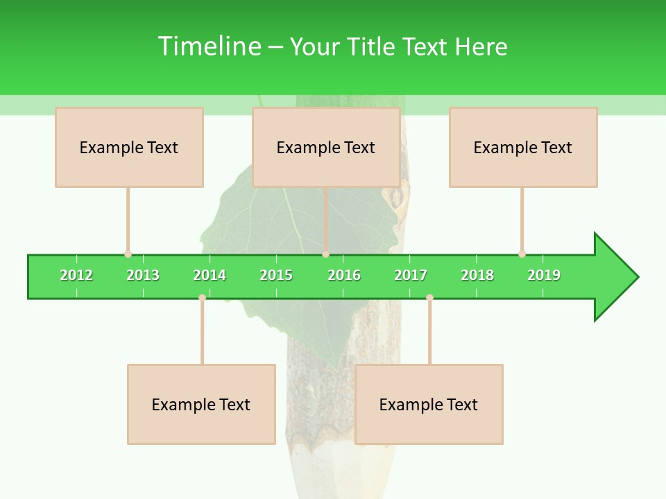 Leaves Drawing Green PowerPoint Template