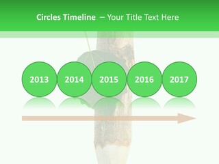 Leaves Drawing Green PowerPoint Template