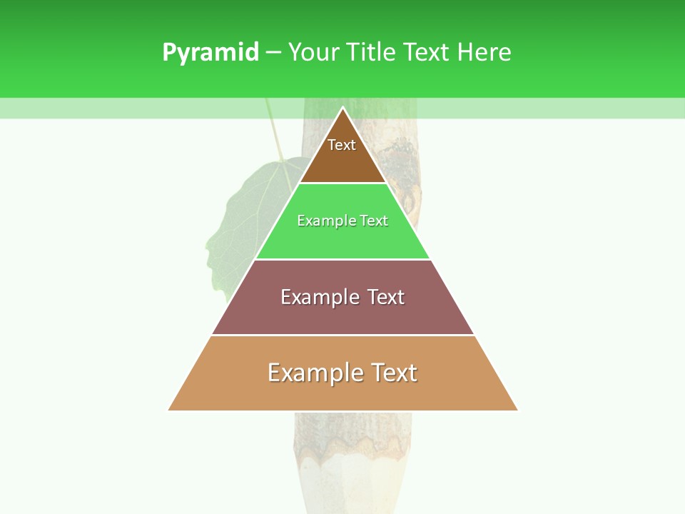 Leaves Drawing Green PowerPoint Template
