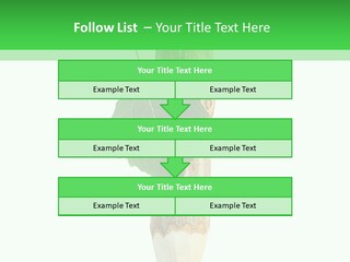 Leaves Drawing Green PowerPoint Template