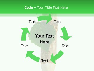 Leaves Drawing Green PowerPoint Template