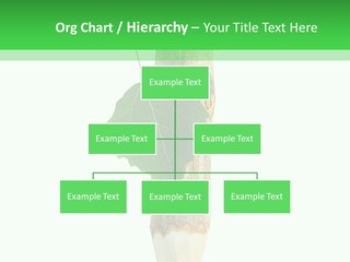 Leaves Drawing Green PowerPoint Template