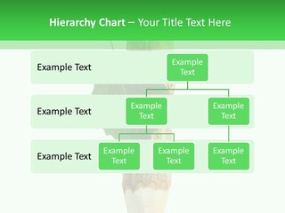Leaves Drawing Green PowerPoint Template