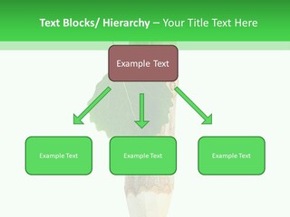 Leaves Drawing Green PowerPoint Template