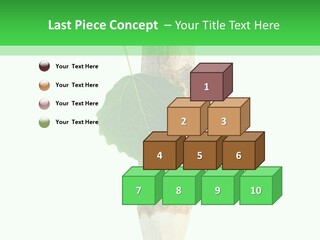 Leaves Drawing Green PowerPoint Template