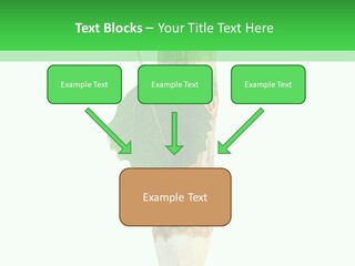 Leaves Drawing Green PowerPoint Template