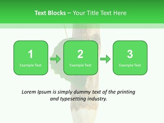 Leaves Drawing Green PowerPoint Template