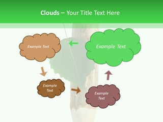 Leaves Drawing Green PowerPoint Template