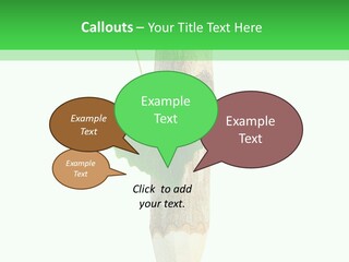 Leaves Drawing Green PowerPoint Template