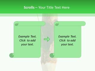 Leaves Drawing Green PowerPoint Template