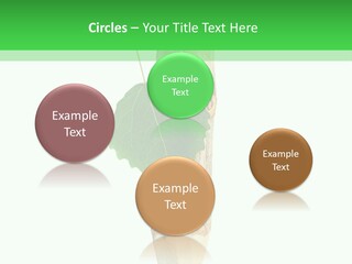 Leaves Drawing Green PowerPoint Template