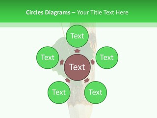 Leaves Drawing Green PowerPoint Template