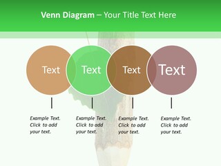 Leaves Drawing Green PowerPoint Template