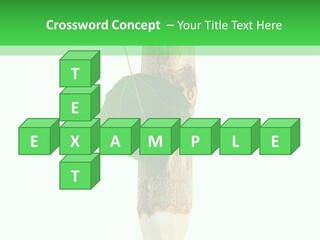 Leaves Drawing Green PowerPoint Template