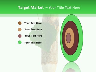 Leaves Drawing Green PowerPoint Template