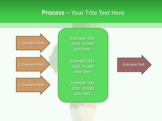 Leaves Drawing Green PowerPoint Template