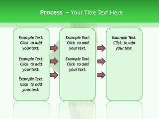 Leaves Drawing Green PowerPoint Template