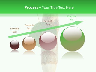 Leaves Drawing Green PowerPoint Template