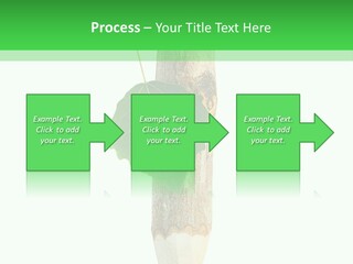 Leaves Drawing Green PowerPoint Template