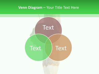 Leaves Drawing Green PowerPoint Template