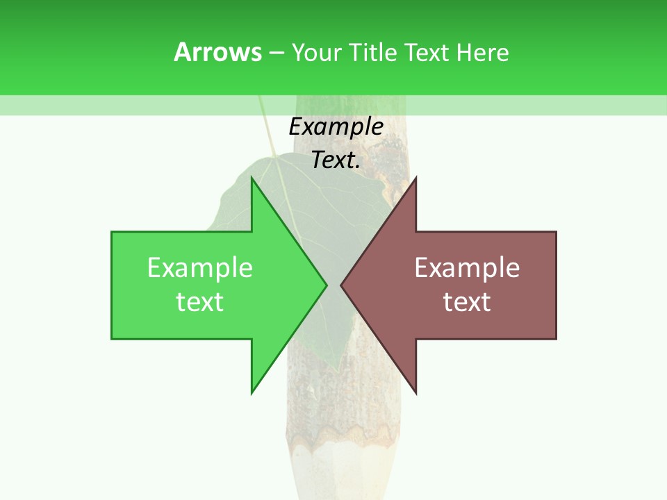 Leaves Drawing Green PowerPoint Template