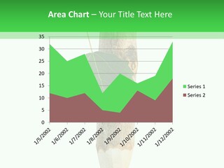 Leaves Drawing Green PowerPoint Template