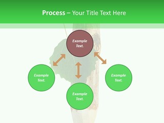 Leaves Drawing Green PowerPoint Template