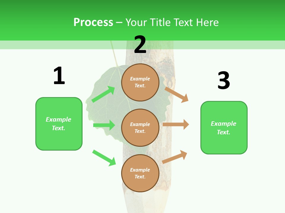 Leaves Drawing Green PowerPoint Template