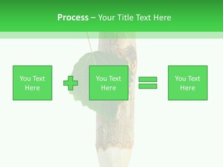 Leaves Drawing Green PowerPoint Template