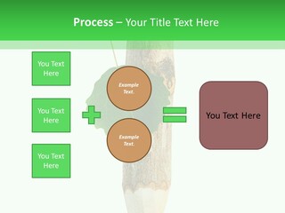 Leaves Drawing Green PowerPoint Template