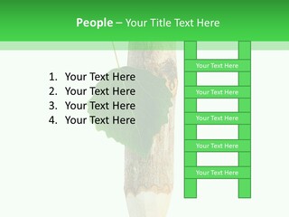 Leaves Drawing Green PowerPoint Template