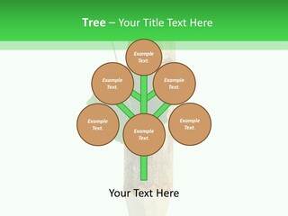 Leaves Drawing Green PowerPoint Template