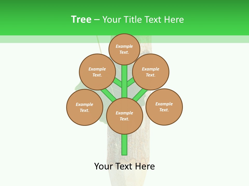 Leaves Drawing Green PowerPoint Template