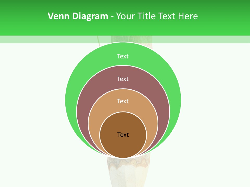 Leaves Drawing Green PowerPoint Template