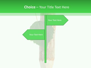 Leaves Drawing Green PowerPoint Template