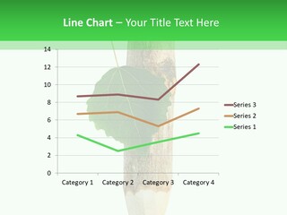 Leaves Drawing Green PowerPoint Template