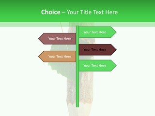 Leaves Drawing Green PowerPoint Template