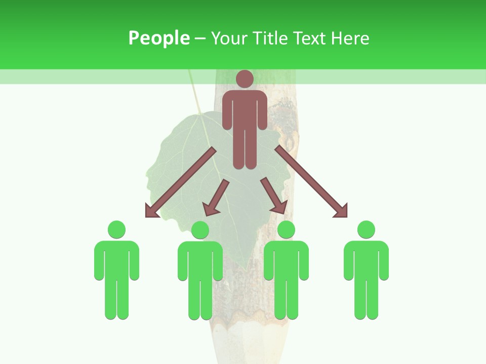 Leaves Drawing Green PowerPoint Template