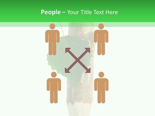 Leaves Drawing Green PowerPoint Template