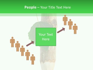 Leaves Drawing Green PowerPoint Template