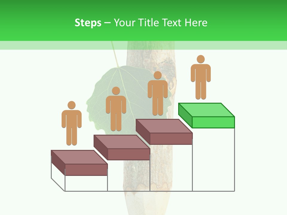 Leaves Drawing Green PowerPoint Template